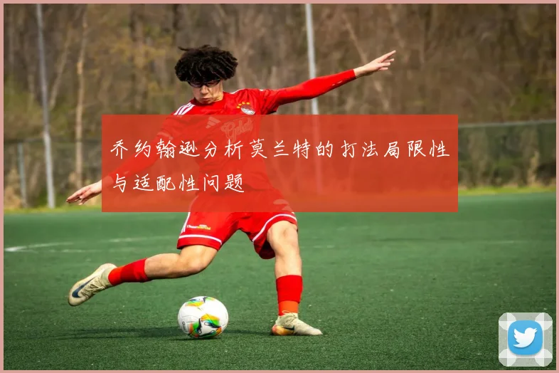 乔约翰逊分析莫兰特的打法局限性与适配性问题